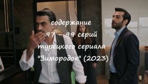 Содержание 97, 98 и 99 серий турецкого сериала «Зимородок» (РФ, 2023)