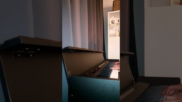 Composing a new melody at home😁on my Korg LP-380 смотреть онлайн