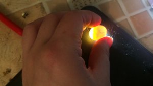 Как определить оплодотворенные яйца волнистых попугаев