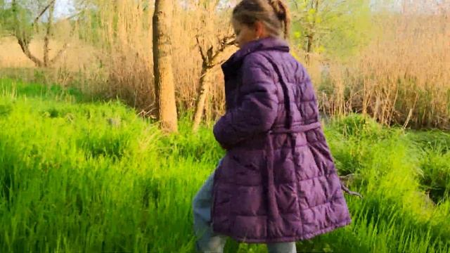 ? Синички решили заснять фазана ? И им это удалось ? смотреть онлайн