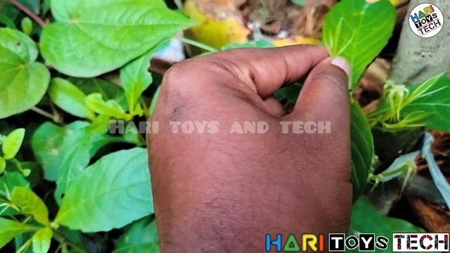 90s Kids Plant Popping Seed ? 90s Memories ? #90skids #games #memories @haritat смотреть онлайн