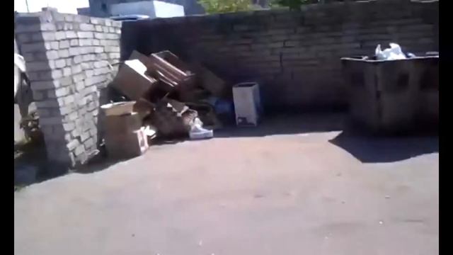 Коровы кушают смотреть онлайн