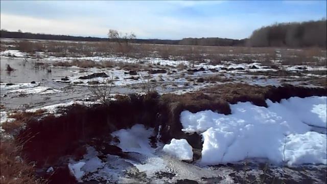 весна внезапная пришла смотреть онлайн
