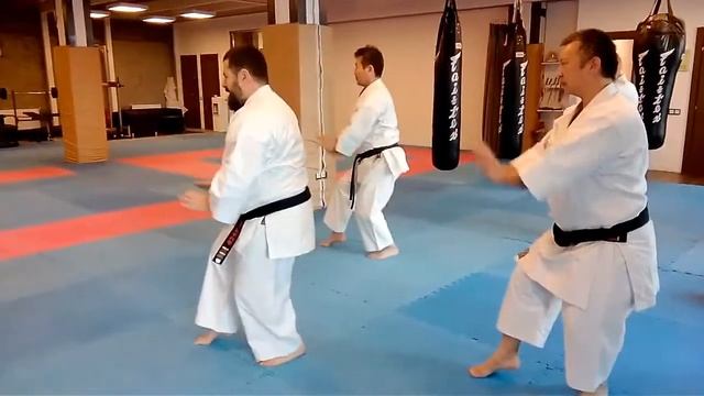 Kata Haffa / group Hakutsuru kata Shito ryu смотреть онлайн