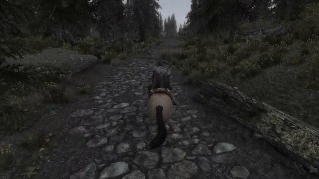 Skyrim Roleplay - Part 4 (S2) - Don't Mess with a Dunmer смотреть онлайн