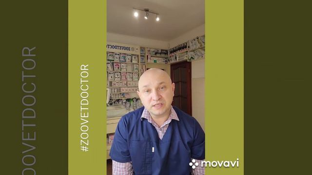 Колапс трахеи, стеноз, сужение трахеи у собак и кошек как это выглядит, симптомы. Совет ветеринара смотреть онлайн