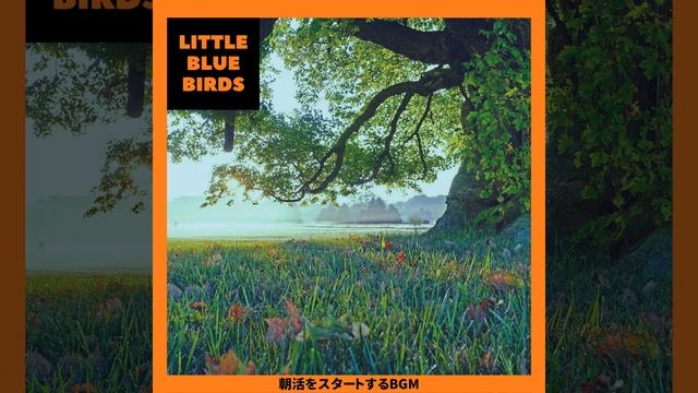 A Groovy Way to Start the Morning смотреть онлайн