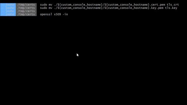 How to apply a custom cert/custom url for Web Console with OCP 4.5 смотреть онлайн