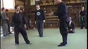 Ниндзюцу - семинар в Японии. Часть 1