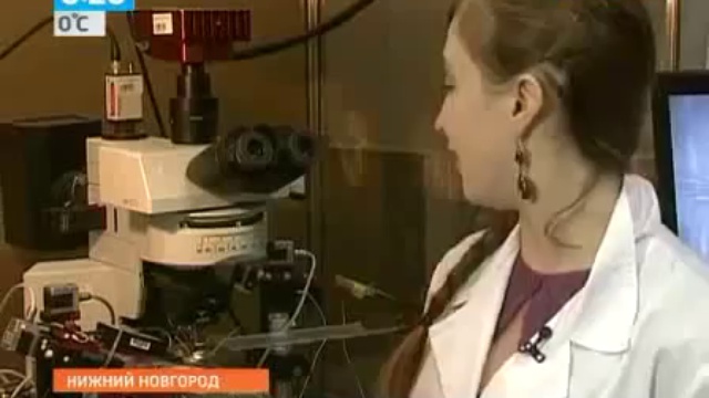 Учёные обнаружили у растений подобие нервной системы смотреть онлайн