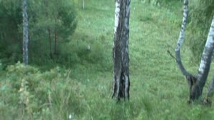 Рыбалка в живописных местах реки «УЙ»