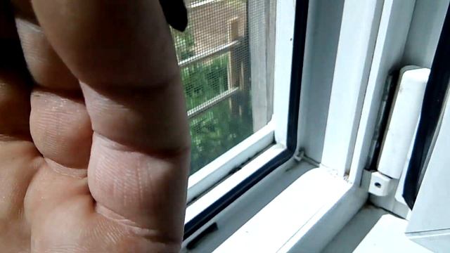 Оборигенная средне русская пчела и бакфаст