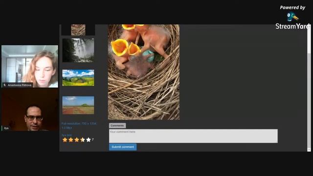 WLX jury tool training смотреть онлайн