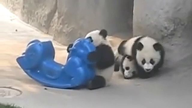 Детский сад для панд смотреть онлайн