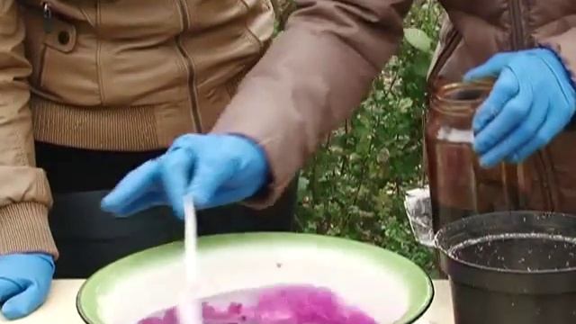 Тюльпаны смотреть онлайн