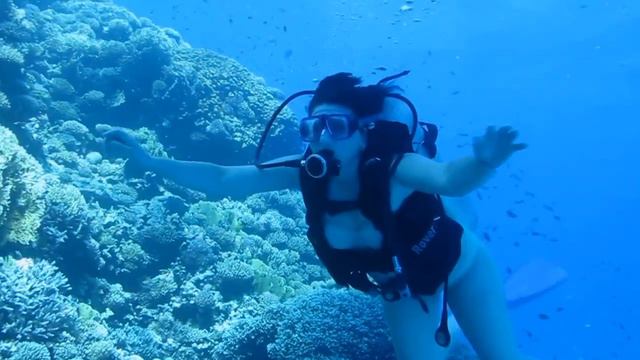 Дайвинг на Красном море! смотреть онлайн