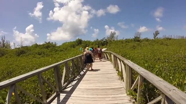 Freeport Bahamas Shore Excursions