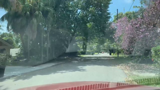 🔴 Где ЕЩЕ вы ТАКОЕ увидите 🔴 удивительная Florida Orlando 🦚 2019 смотреть онлайн