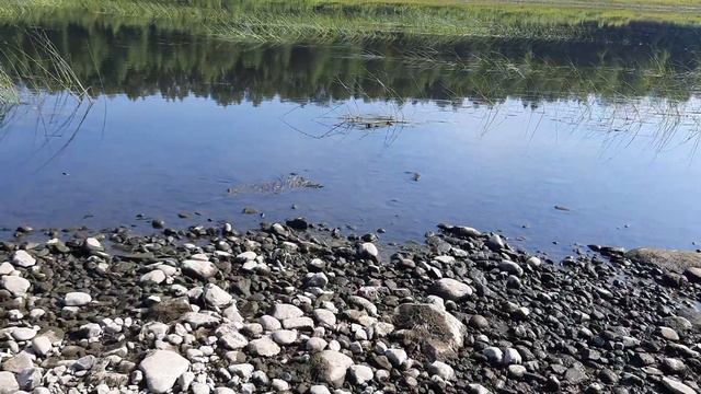 У Печоры - У РЕки?, 25 08 2022. смотреть онлайн