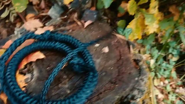 Обзор ездовых потягов для собак. смотреть онлайн