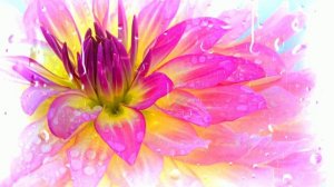 Футаж. Цветы под дождём 4