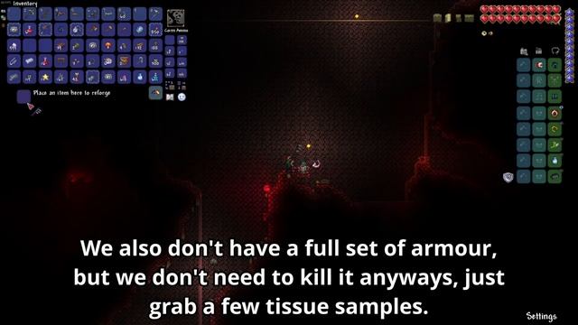 Terraria, but I download Dream's speedrunning mods смотреть онлайн