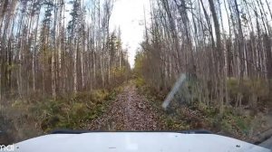 Охота на Ворон Crow Hunting 2021. Кроухантинг. Jack Hunter.