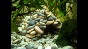 Как пользоваться холодной сваркой Поксипол ► Карландия