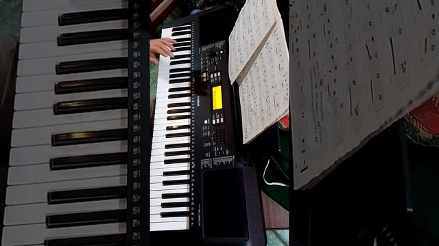 Nube viajera cover instrumentado con Yamaha PSR E363 смотреть онлайн