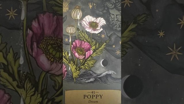 Herbal Astrology Reading смотреть онлайн