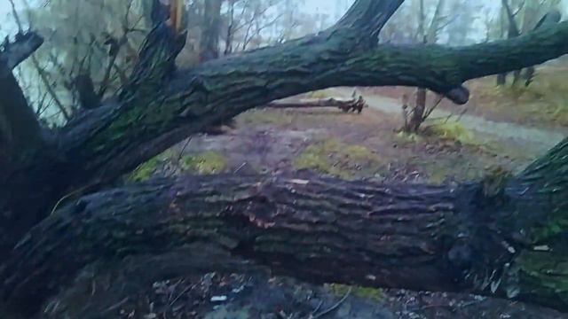 г.Воронеж, туман над водохранилищем смотреть онлайн