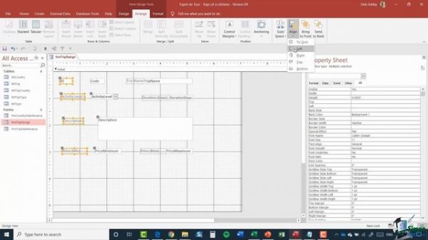 Microsoft Access Forms Tutorial: MS Access 2019