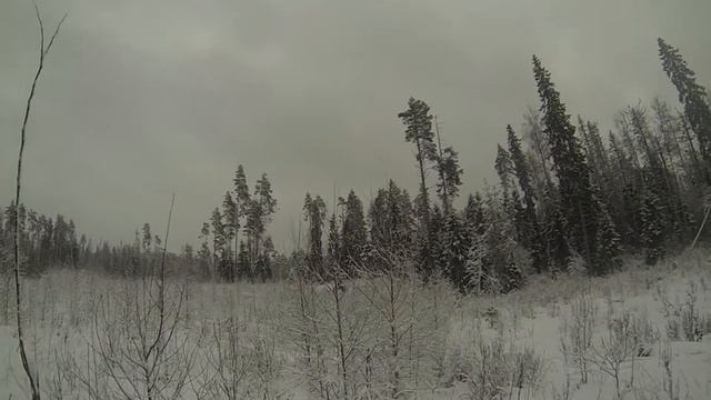 GOPR0013 смотреть онлайн