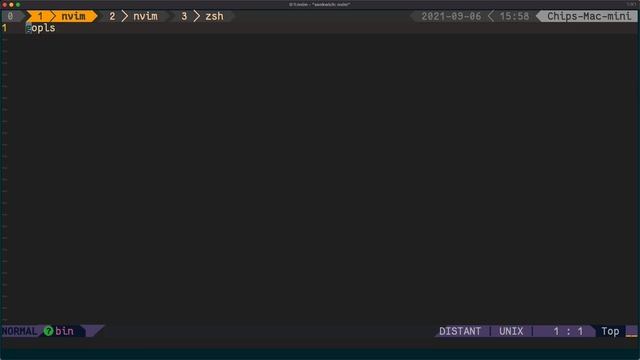 Editing files and running LSP servers on a remote machine смотреть онлайн