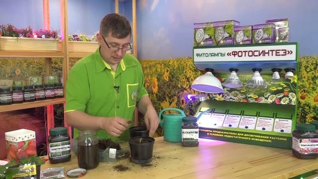 КОНСУЛЬТАНТ САДОВОДА 201 смотреть онлайн