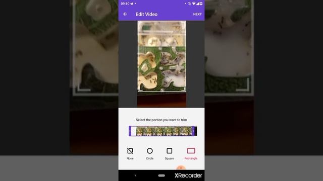 Как сделать анимированные стикеры для WhatsApp смотреть онлайн