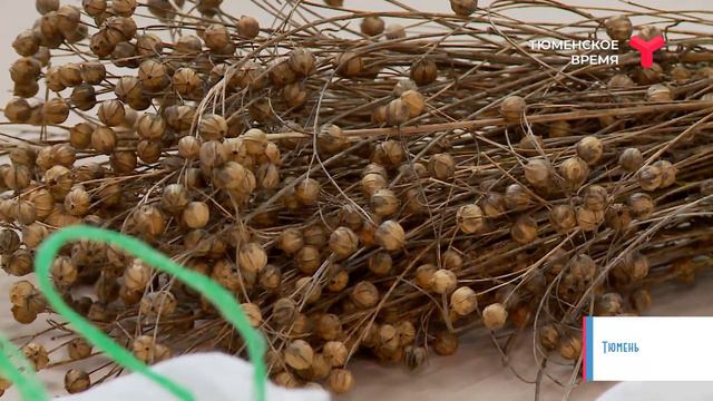 Сельская среда 24.11.2021 смотреть онлайн