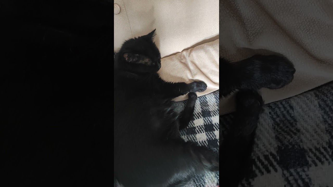 28 февраля 2024 г. смотреть онлайн