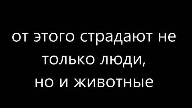 Диалог с природой смотреть онлайн