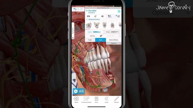 Human Anatomy Atlas AR 2023 смотреть онлайн