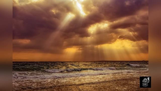 Экхарт Толле - Приятие и сдача. Сила момента сейчас. смотреть онлайн