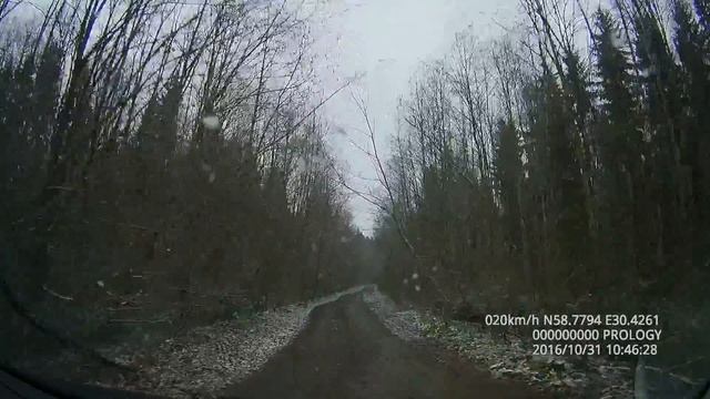 Оредеж - Лощицы смотреть онлайн