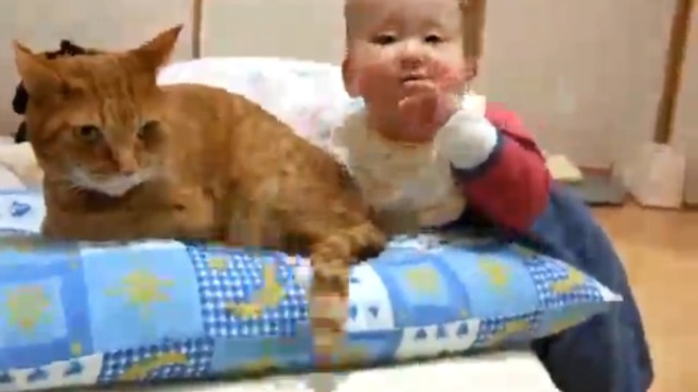 Я съем твой хвост! смотреть онлайн