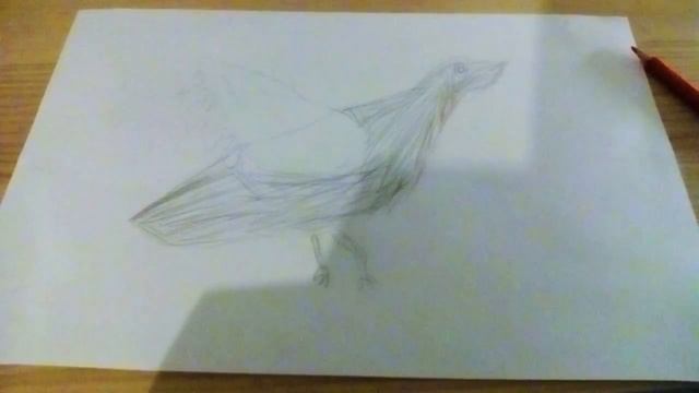 Научится рисовать голубя смотреть онлайн