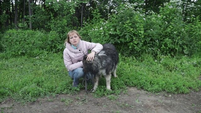 Храбрые сердцем. Тирион Ланнистер. смотреть онлайн