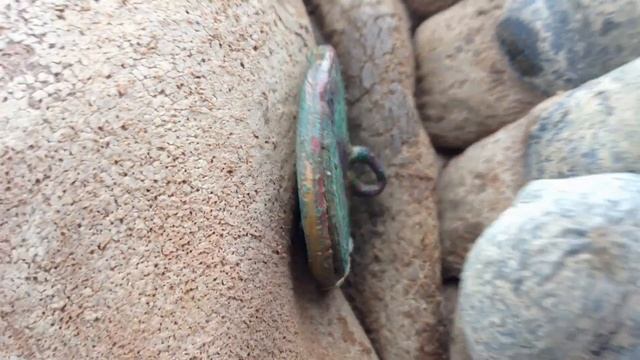 Польський ліврейний гудзик з гербом Бонча смотреть онлайн