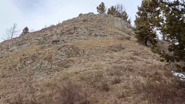 Сибирские горные козлы в Саяно-Шушенском заповеднике смотреть онлайн