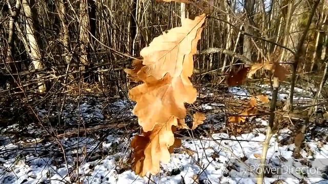 осень... ветер, солнце и вода смотреть онлайн