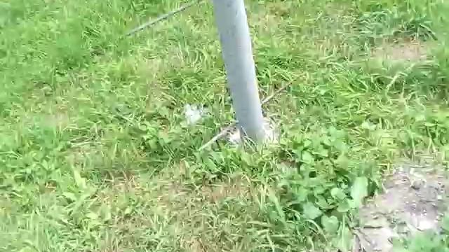 Бетонный/пенобетонный забор. Часть 1. смотреть онлайн