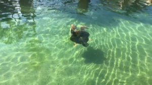 Алиса в Дельфинарии Майами Шоу Дельфинов  и Котиков развлечения для детей в Miami Seaquarium